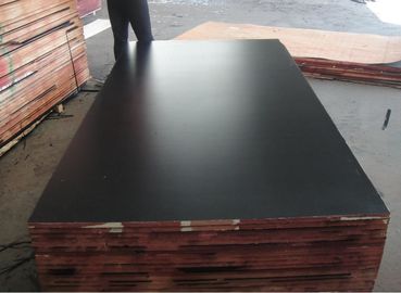 hot sale low price good quality 9mm 11mm 12mm 15mm 18mm film faced plywood in Africa